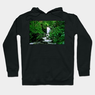 Deep In The Smoky Mountains Hoodie